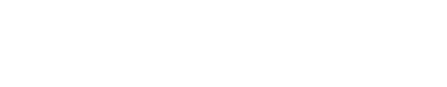 Luz Elec Logo